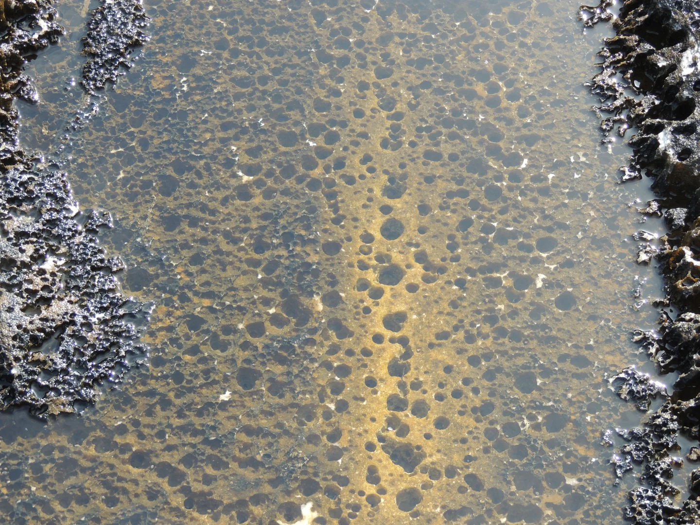 Brine pool