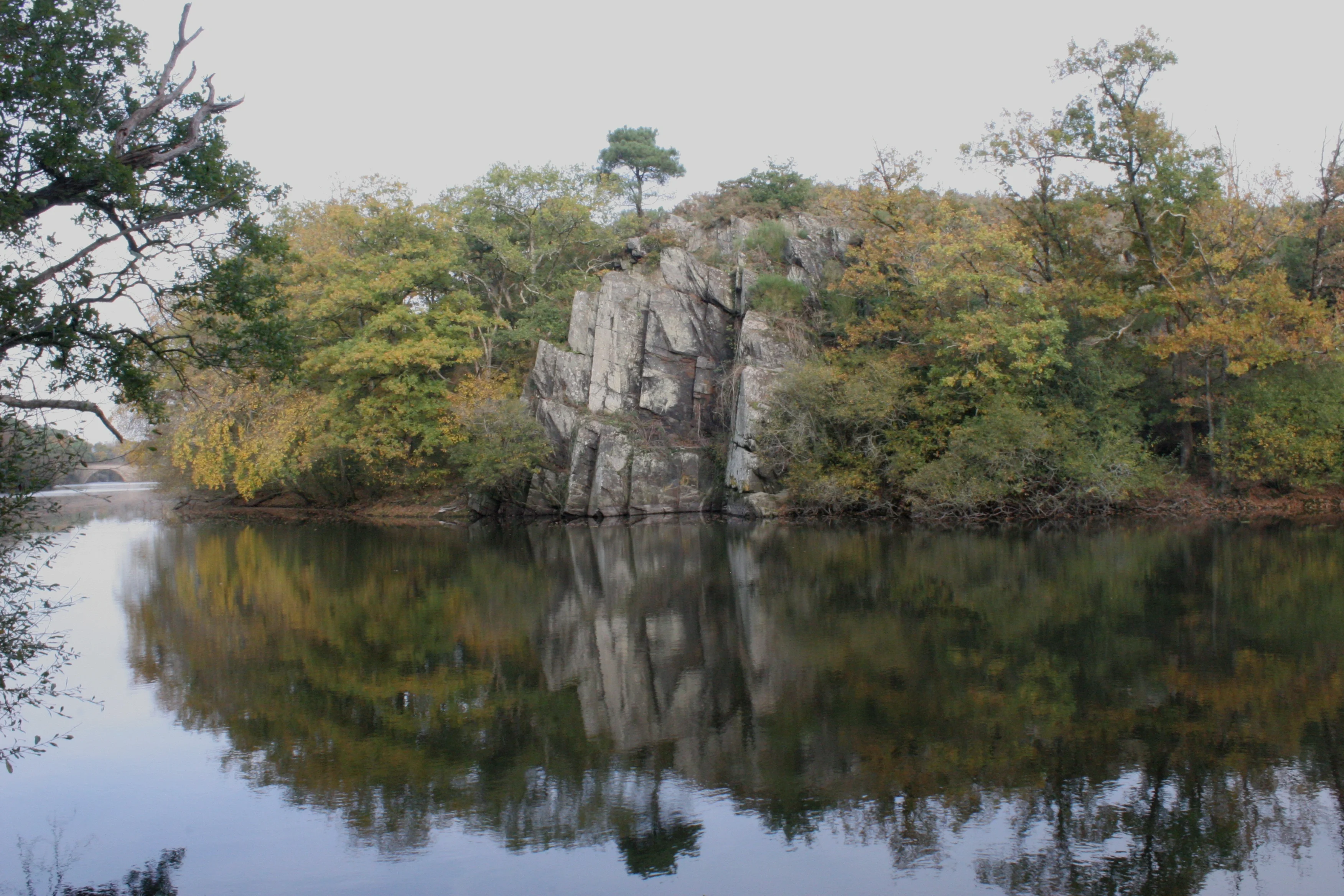 A rocky outcrop surrounded by trees reflects in calm water.