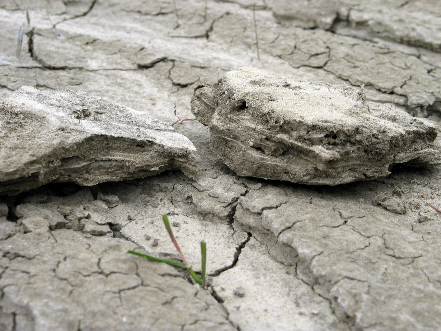 Platy structure in a cropped clayey soil