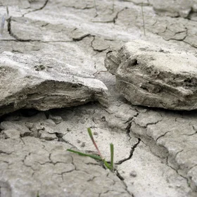 Platy structure in a cropped clayey soil