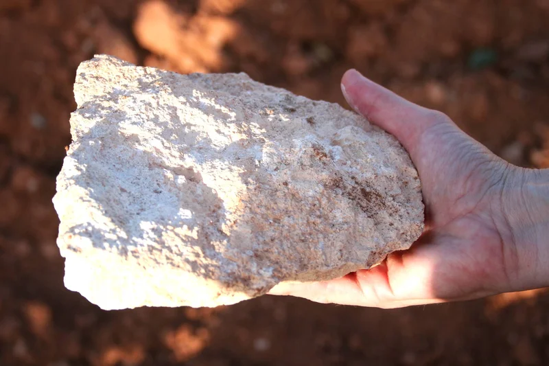 Not a rock fragment!