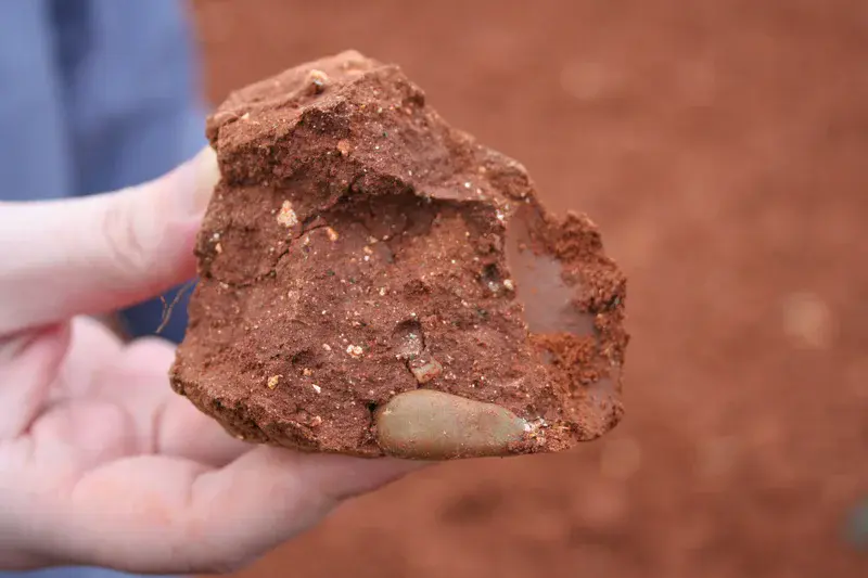 Blocky aggregate from a red clayey soil
