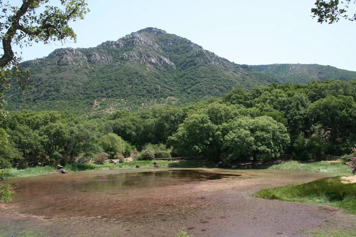 El Picacho lagoon in summer