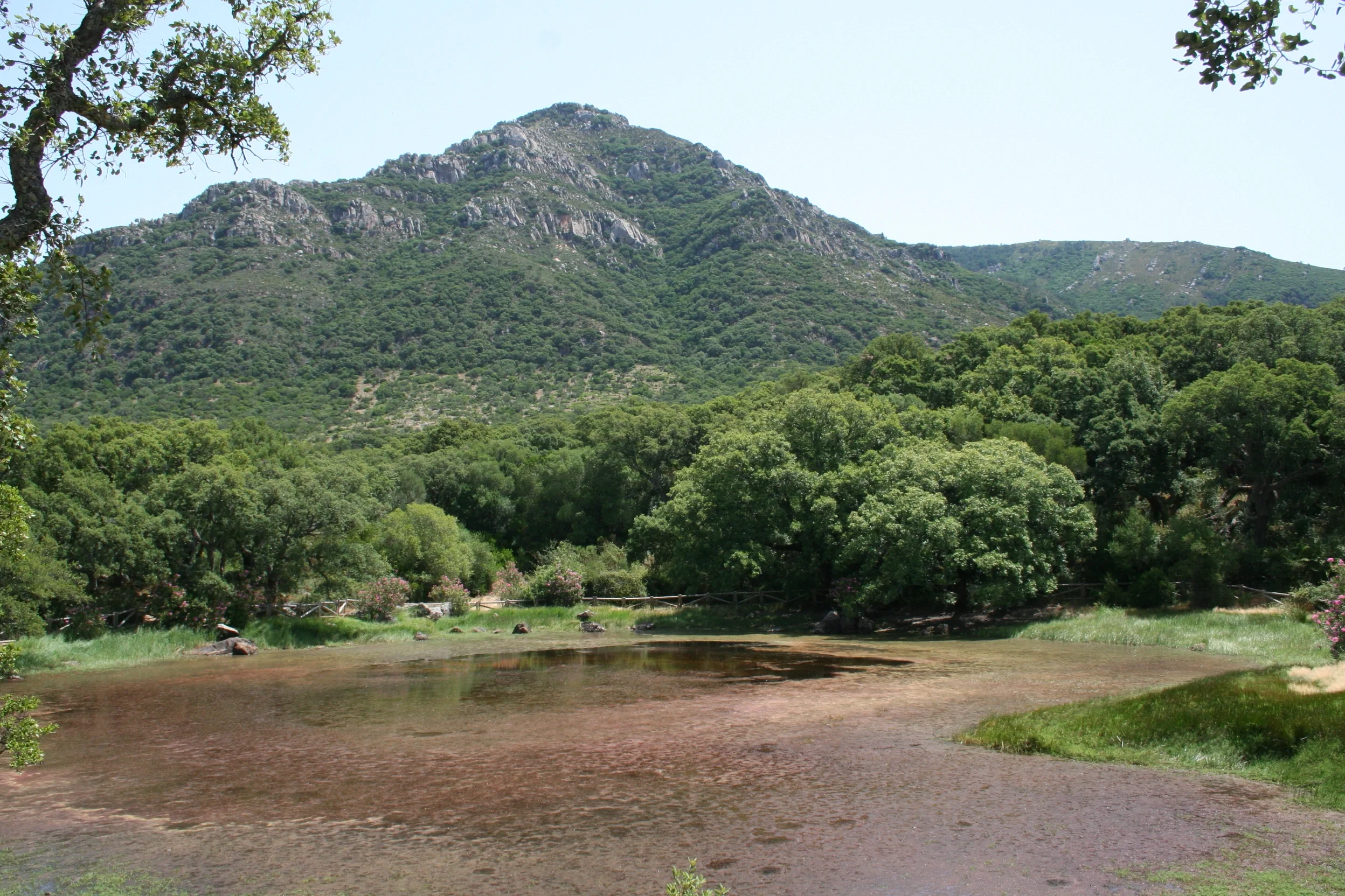 El Picacho lagoon in summer