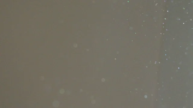 Airborne house dust