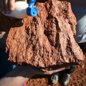 Manganese black spots in soil