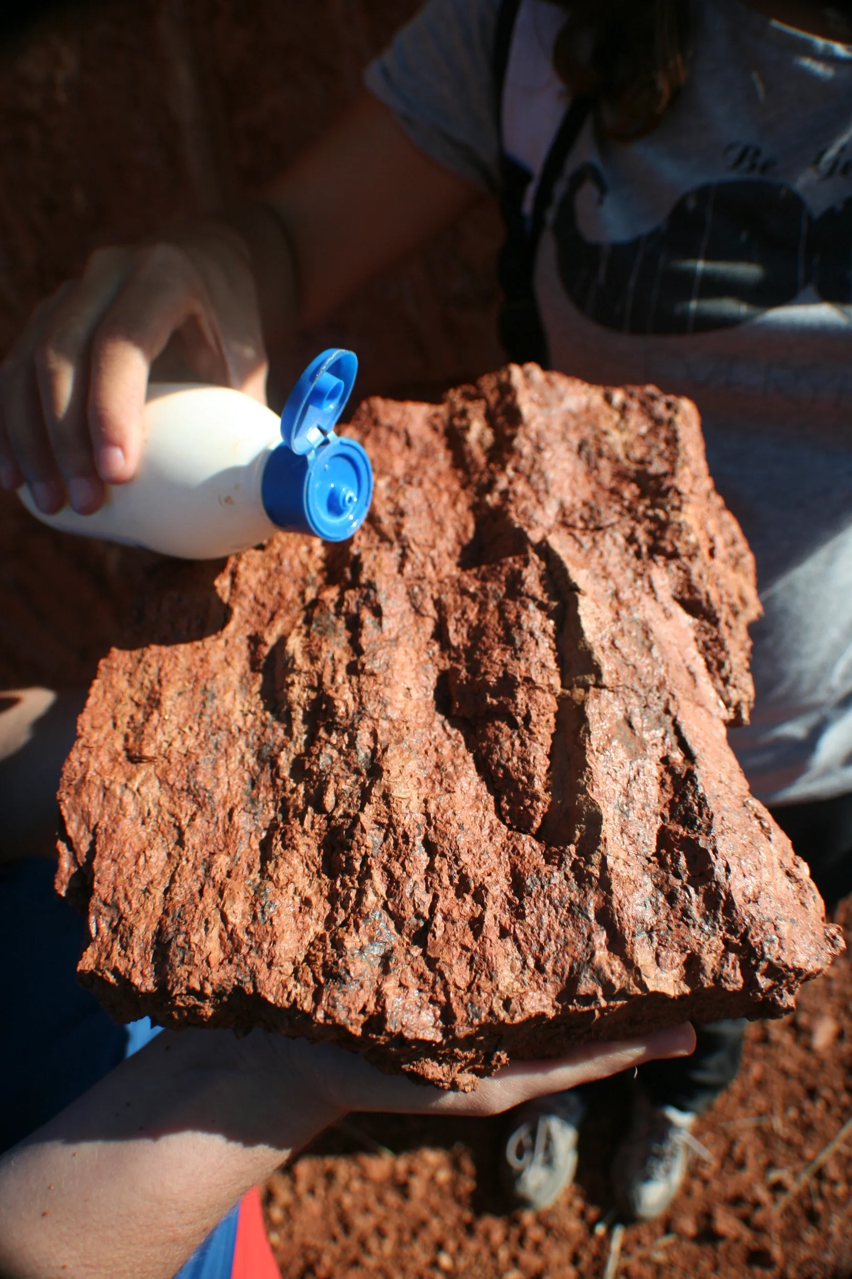Manganese black spots in soil
