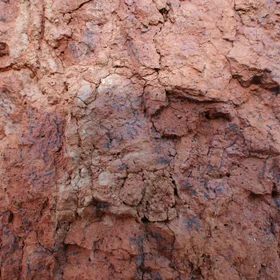 Manganese black spots in red soil