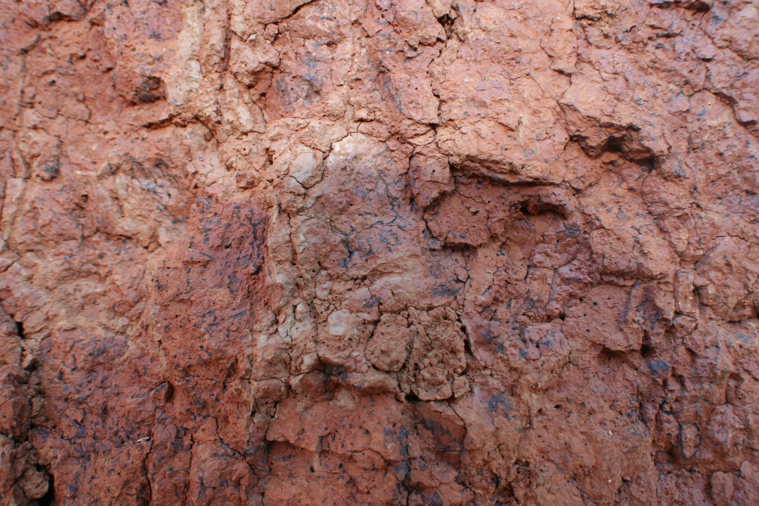 Manganese black spots in red soil