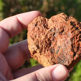 Manganese black spots in red soil