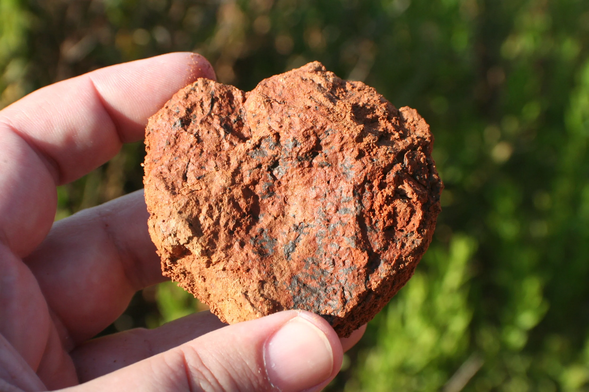 Manganese black spots in red soil