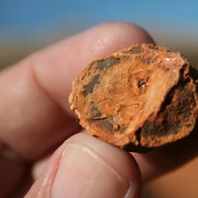 Manganese and iron covering a carbonate concretion