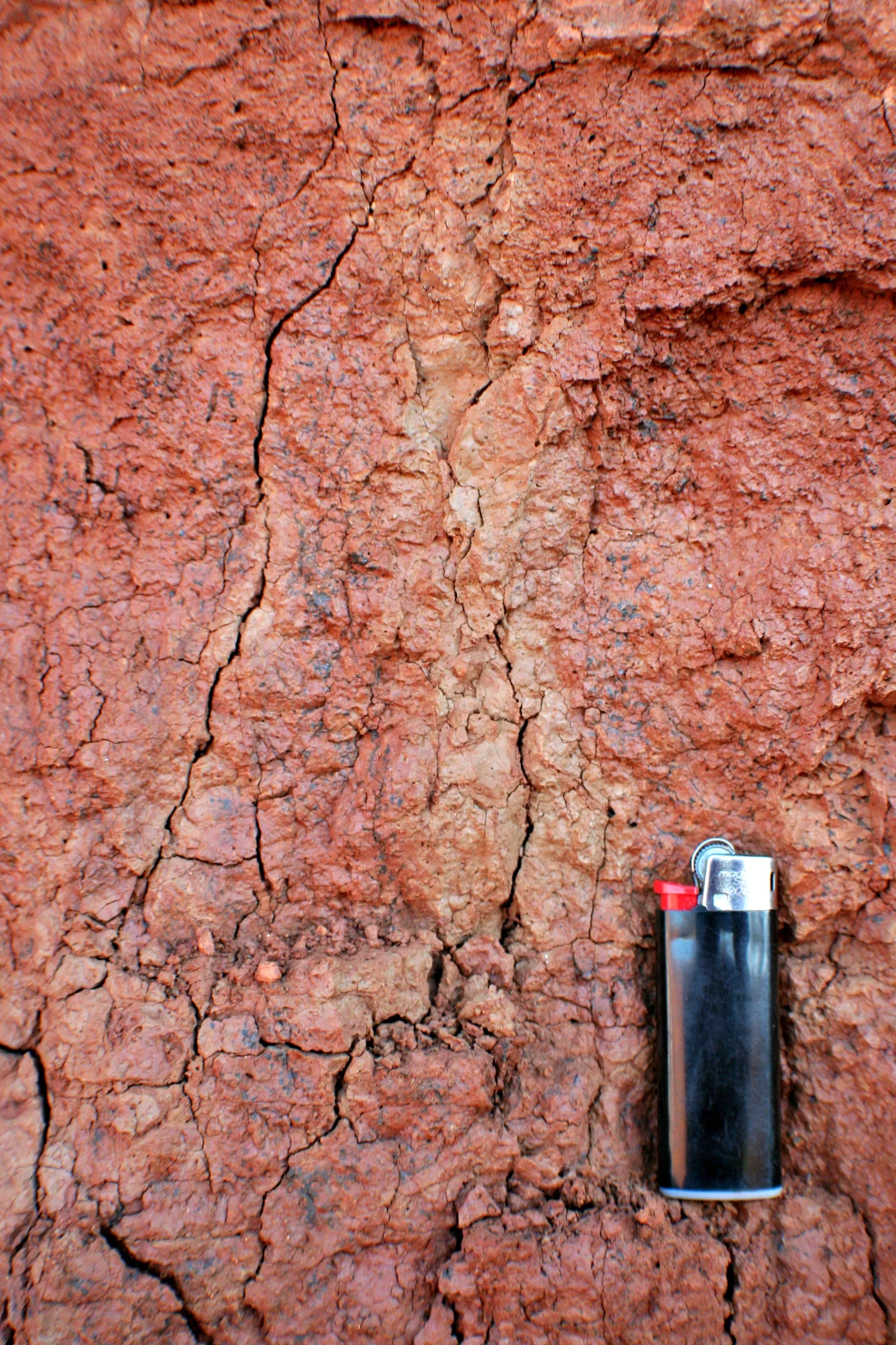 Soil colours indicate different processes