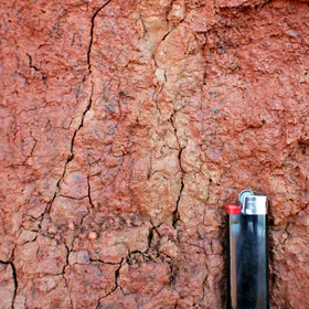 Soil colours indicate different processes