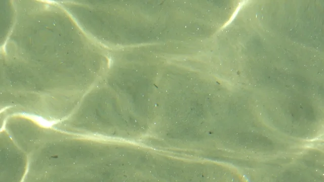 Refractive caustic network