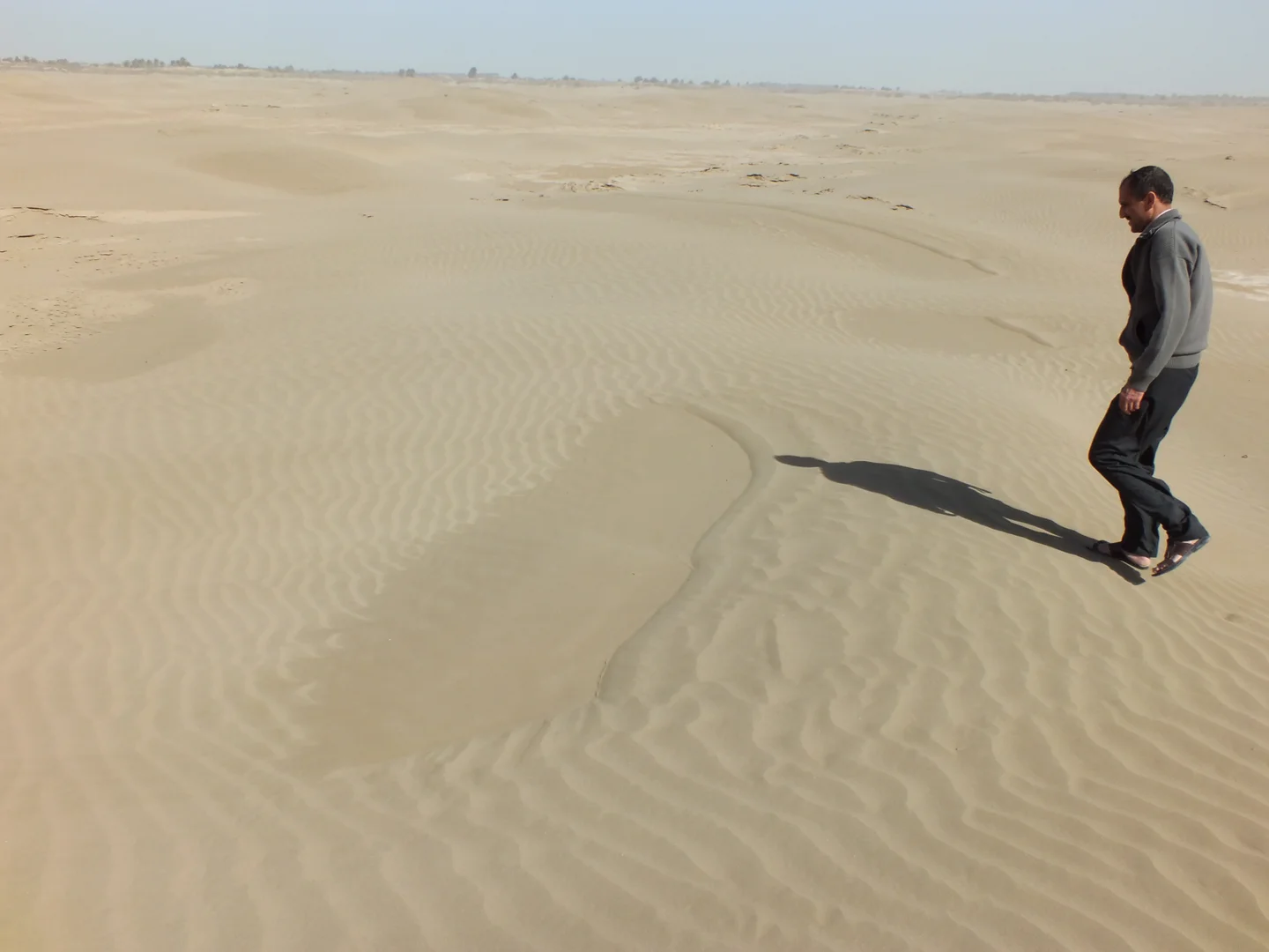 Wet patches on the sand dunes