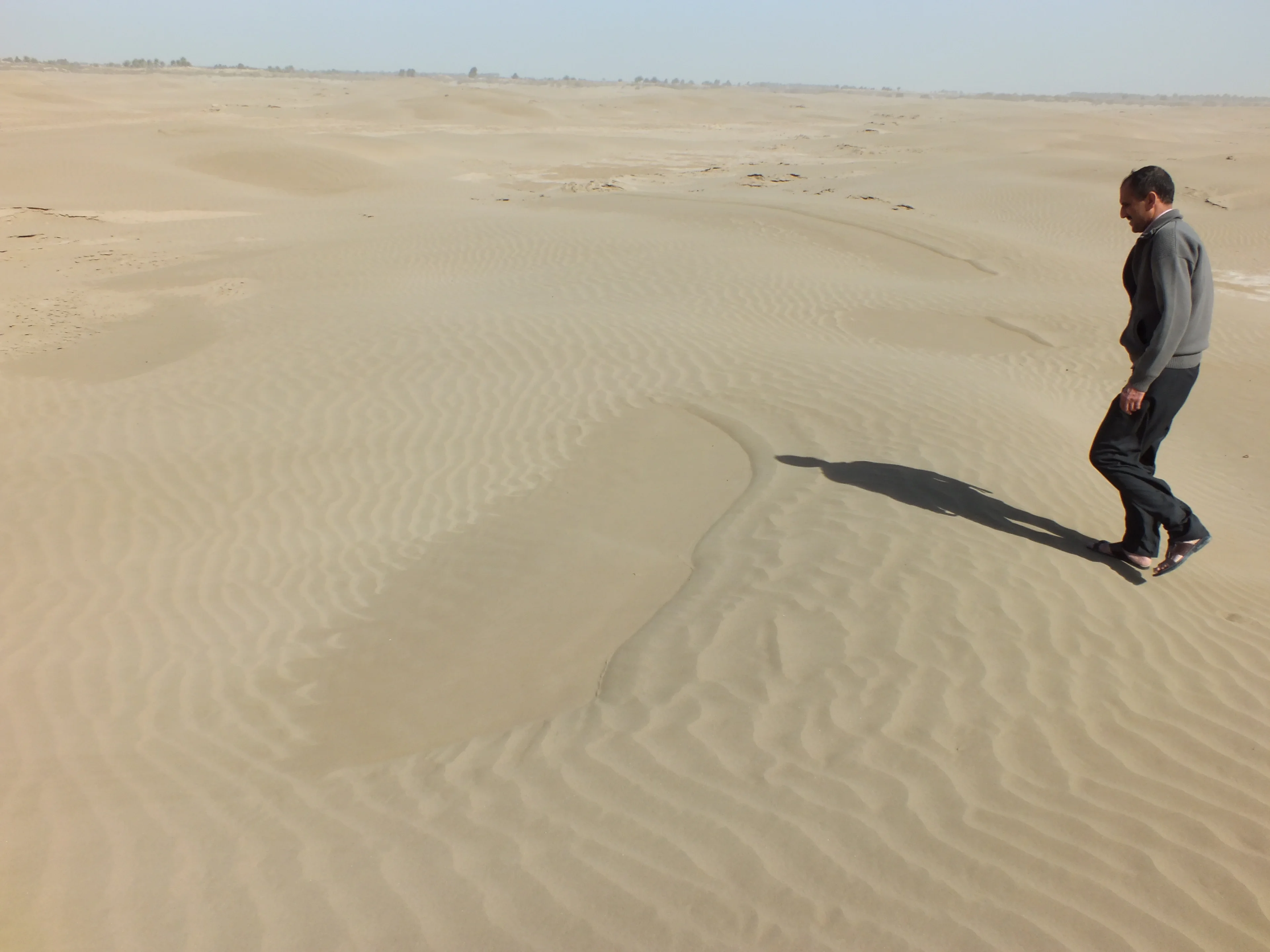 Wet patches on the sand dunes