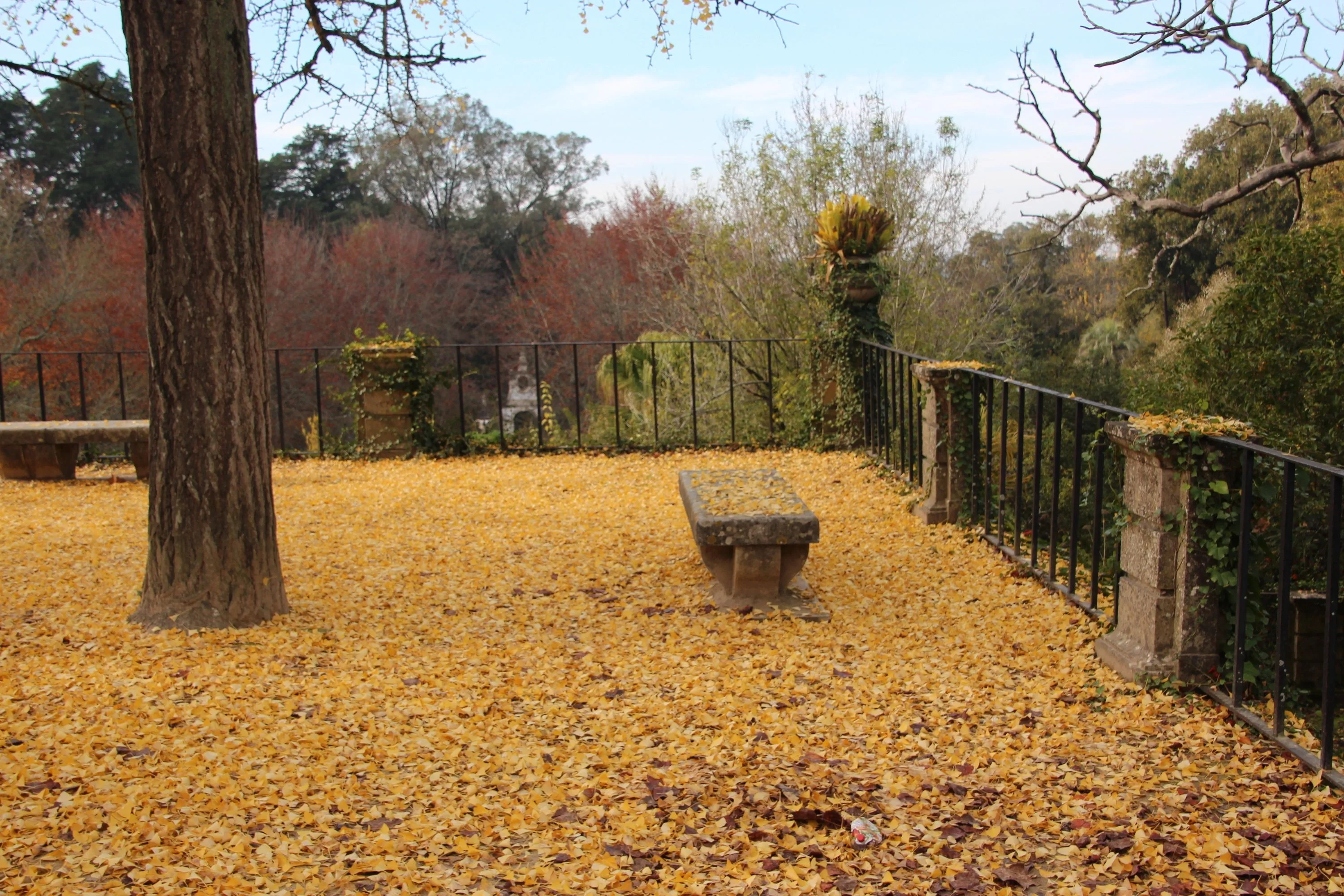 Coimbra Botanical Garden