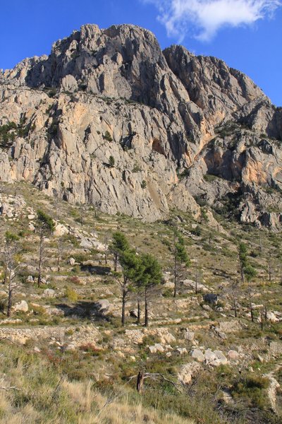 Land abandonment is a key factor of Mediterranean Landscapes
