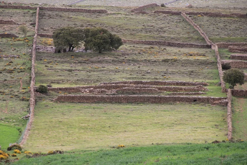 Grazing and Stone landscape. Vilafranca (1)