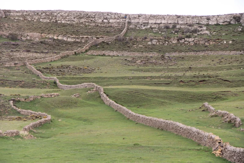 Grazing and Stone landscape. Vilafranca (2)