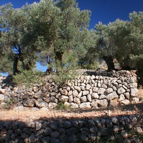 Drystone walls for soil conservation (1)