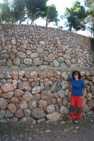 Drystone walls for soil conservation (2)