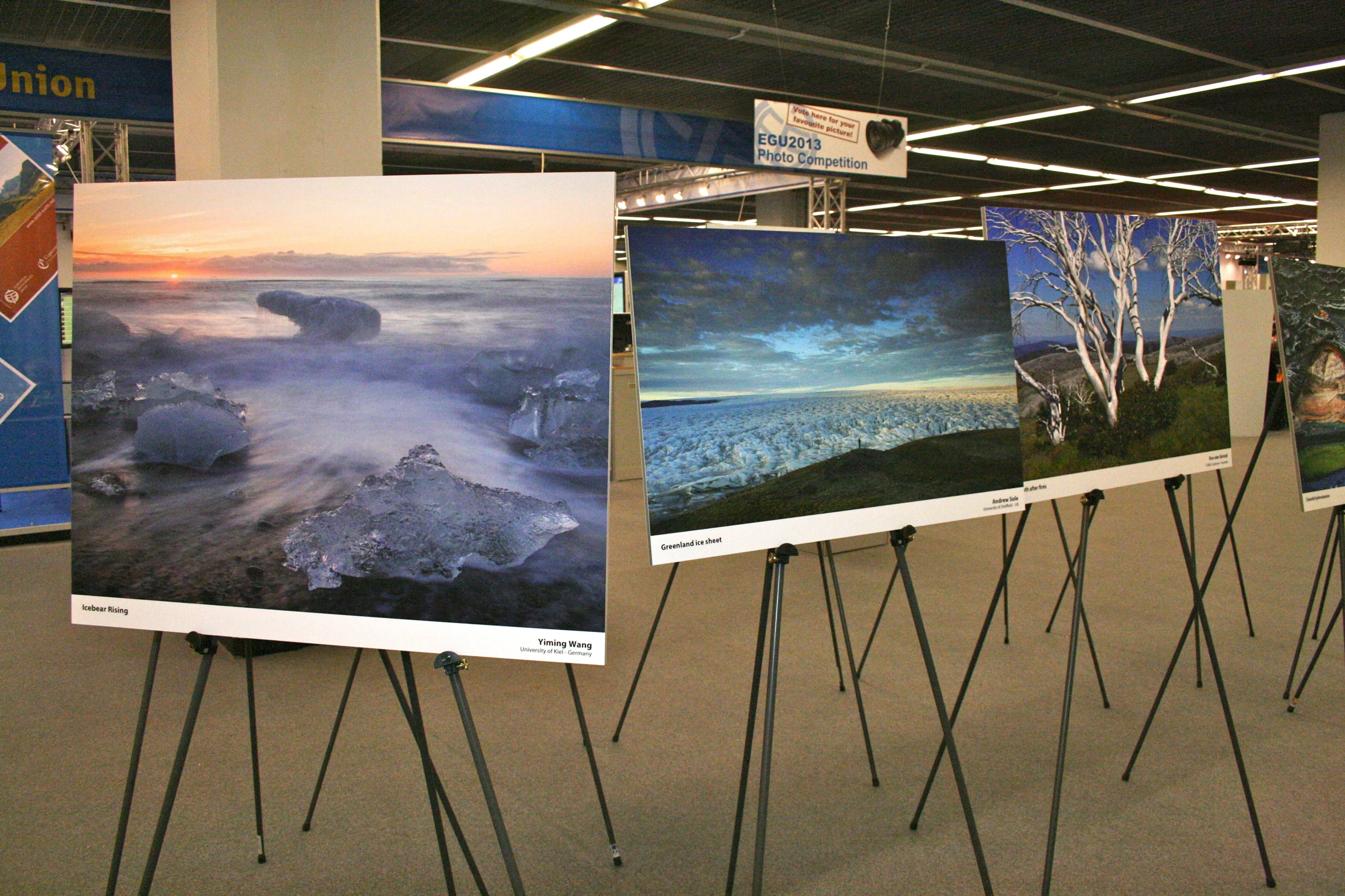 2013 Photo Comp
