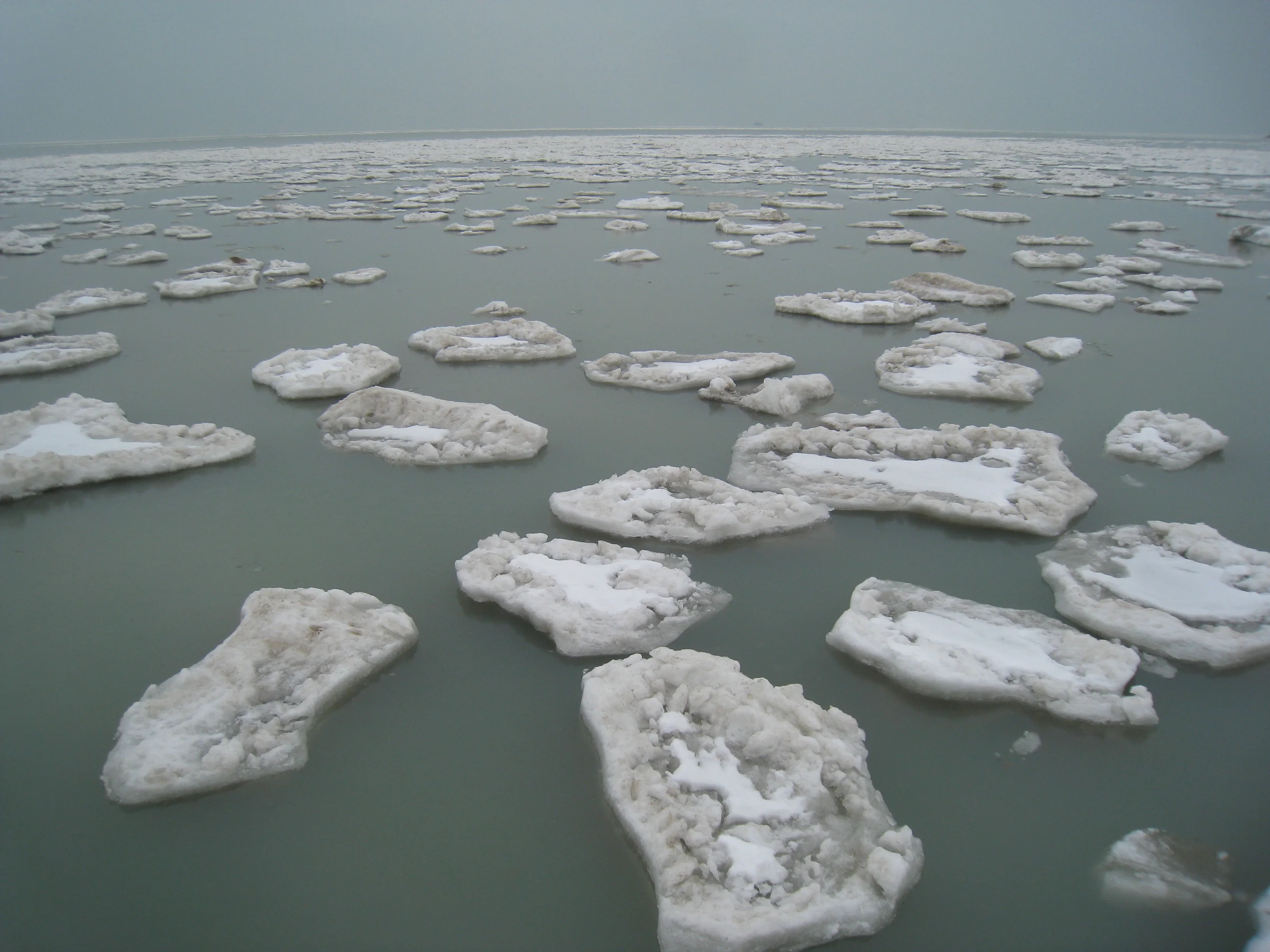 Pieces of ice in Chicago beach