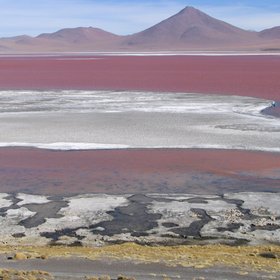 Laguna colorada