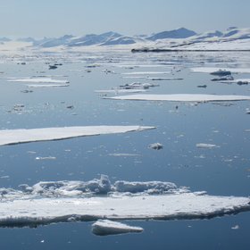 Ice floating on a Svalbard fjord