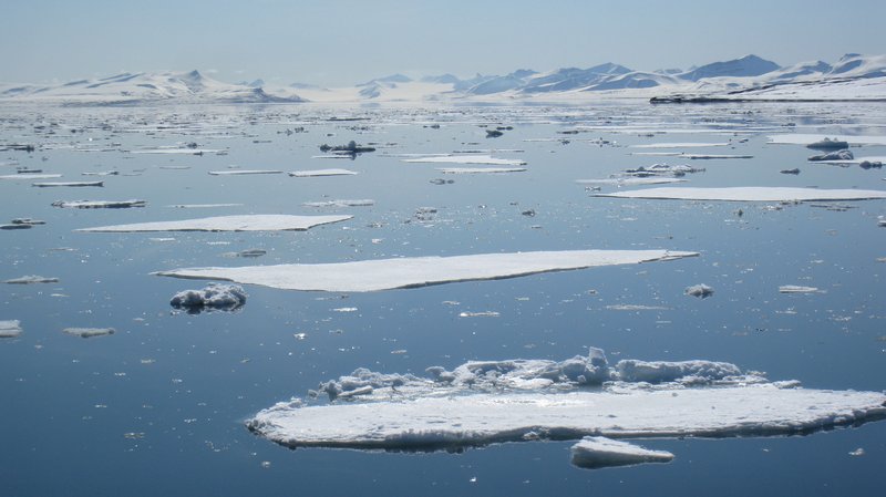Ice floating on a Svalbard fjord