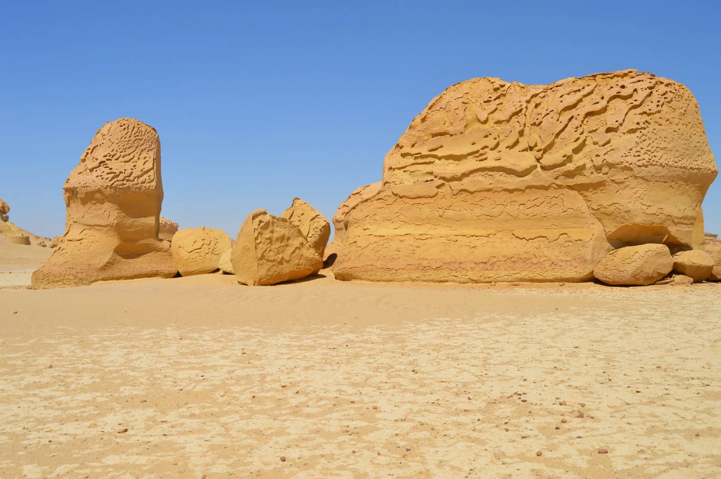 Whales Valley