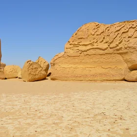Whales Valley