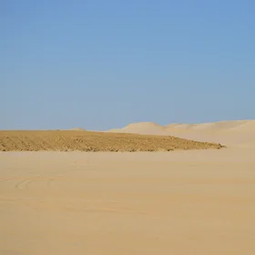 Beginning of agricultural processing on desert land