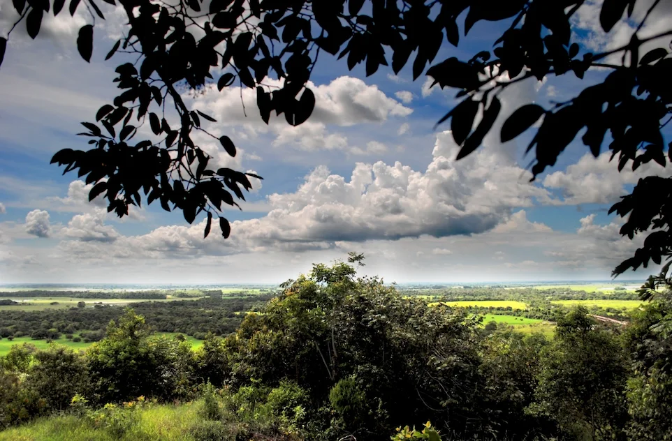 Llanos Orientales 