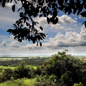 Llanos Orientales 