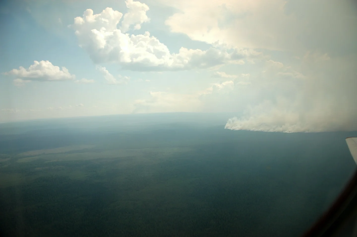 Taïga burning near Krasnoiarsk