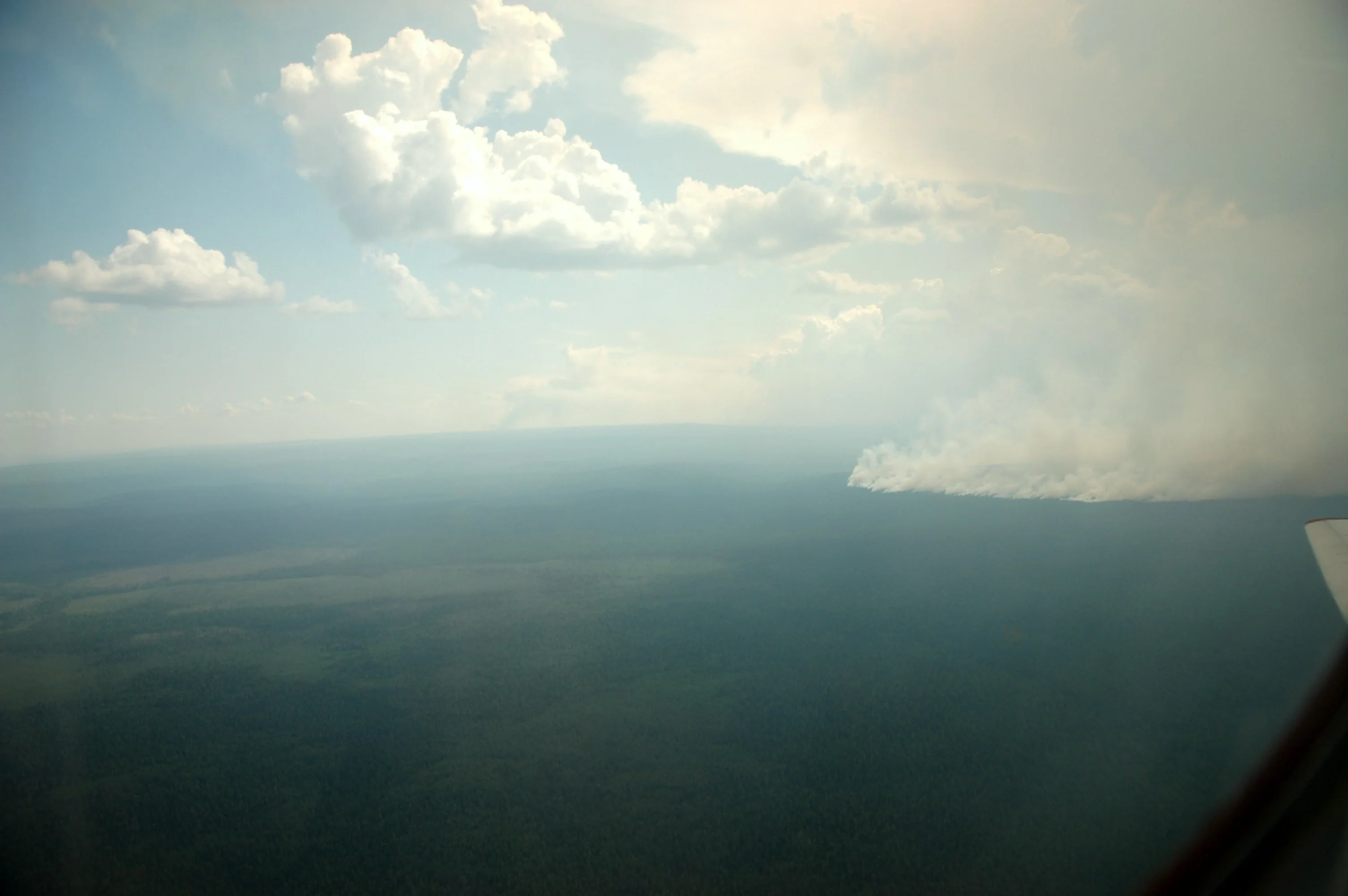 Taïga burning near Krasnoiarsk