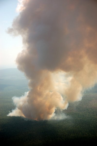 Taïga burning near Krasnoiarsk