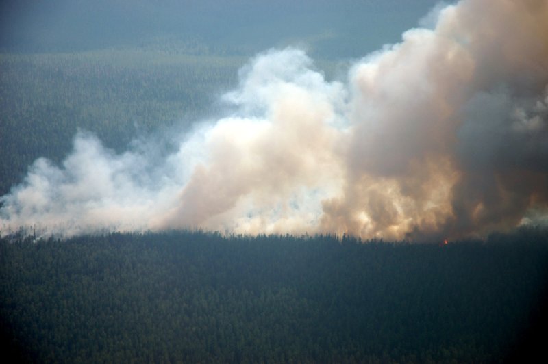 Taïga burning near Krasnoiarsk