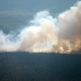 Taïga burning near Krasnoiarsk