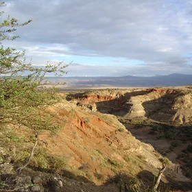 Olduvai, Main Gorge 2