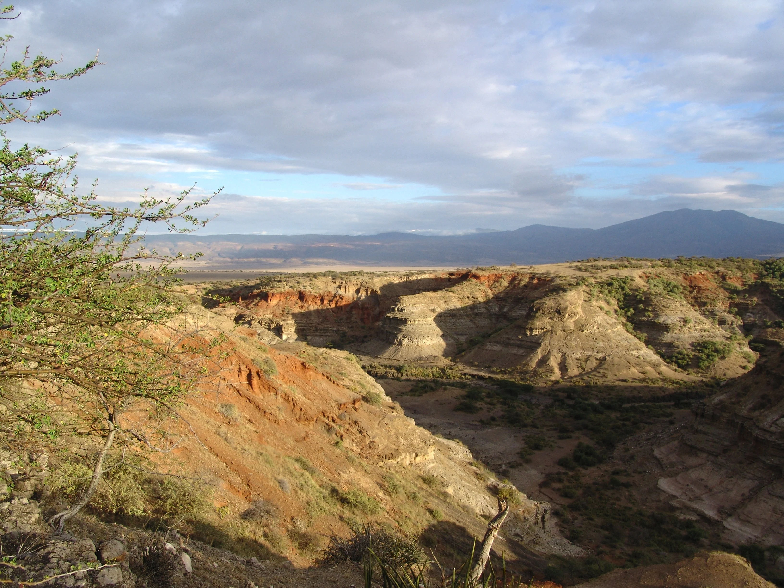 Olduvai, Main Gorge 2