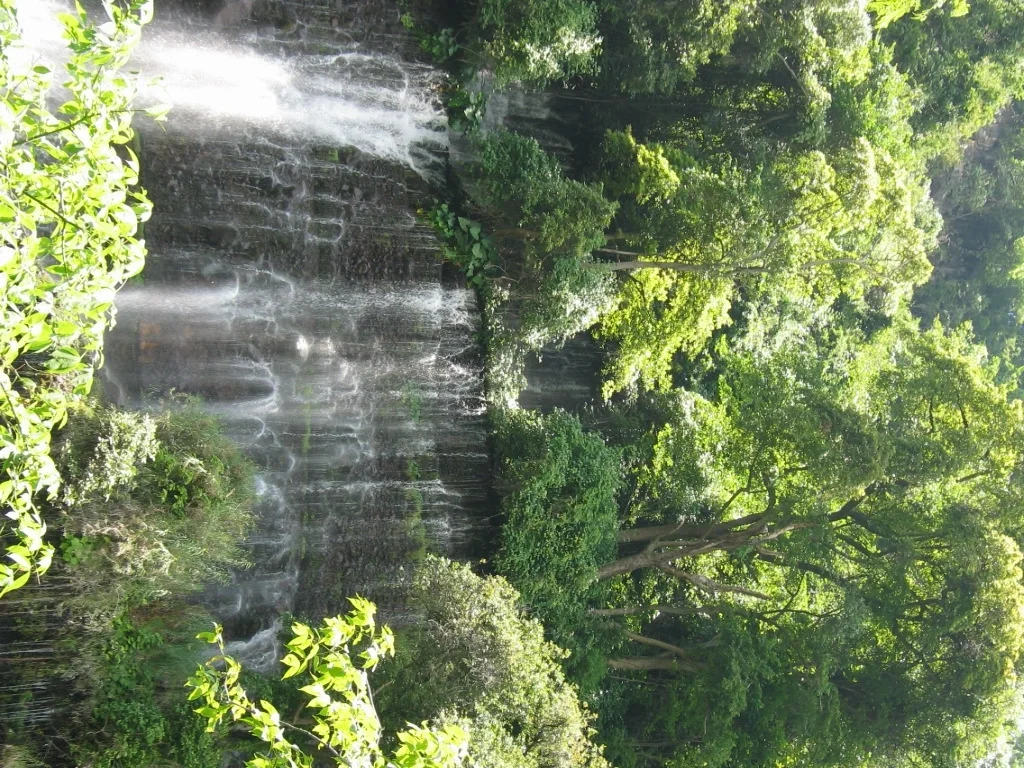 Chorros del Varal (Mexico)