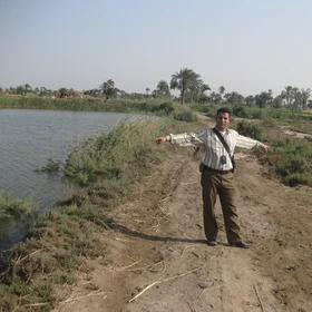 Convert saline soil to fish farm