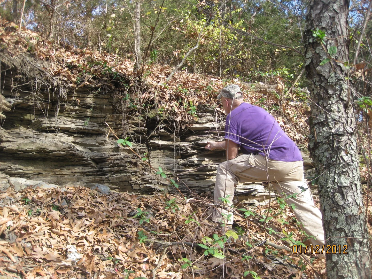 Weathered shale rock