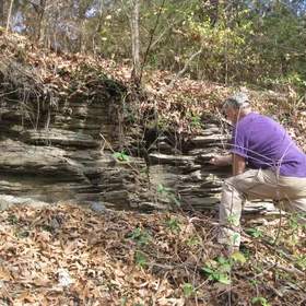Weathered shale rock