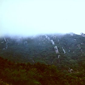 Foggy ridges