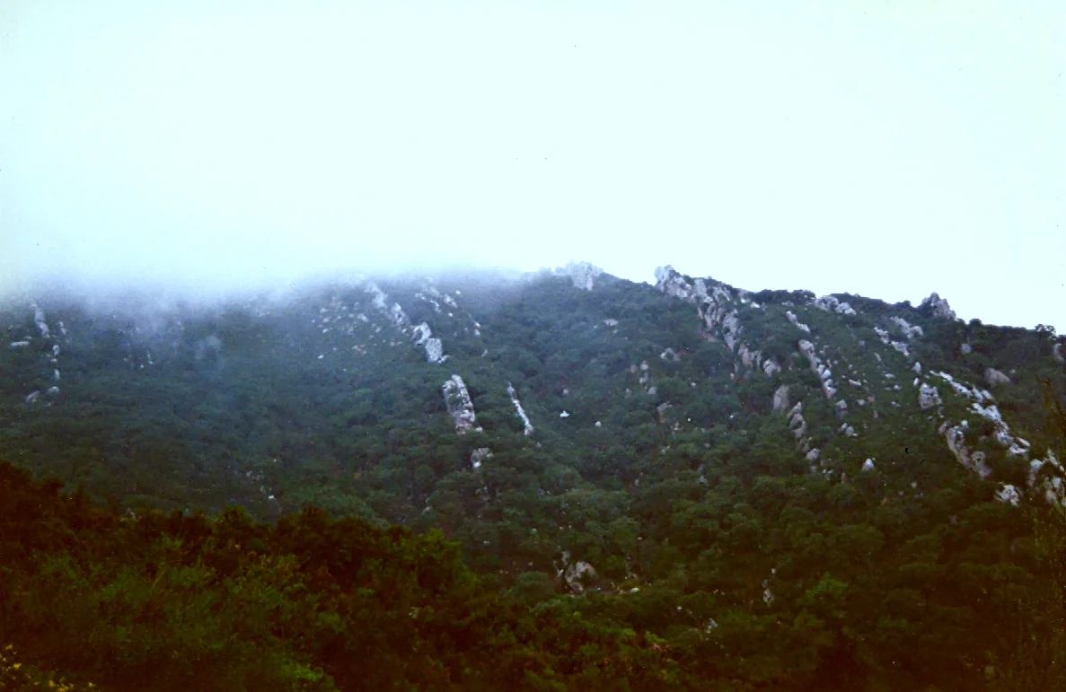 Foggy ridges